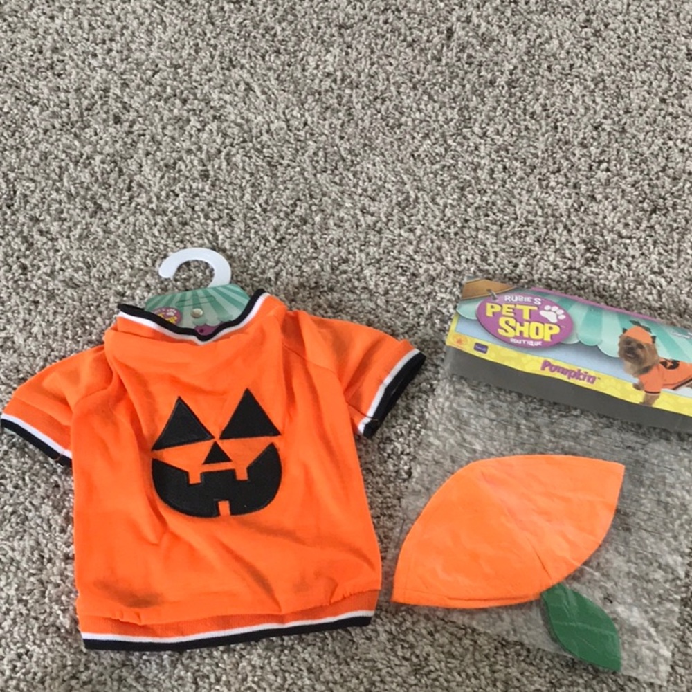 Dog Halloween costume